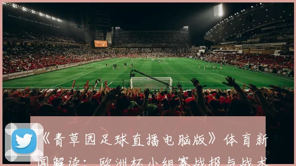 《青草园足球直播电脑版》体育新闻解读：欧洲杯小组赛战报与战术影响