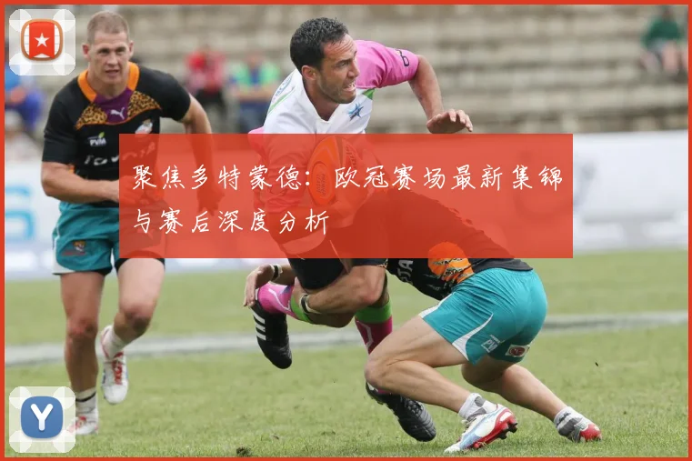 聚焦多特蒙德：欧冠赛场最新集锦与赛后深度分析