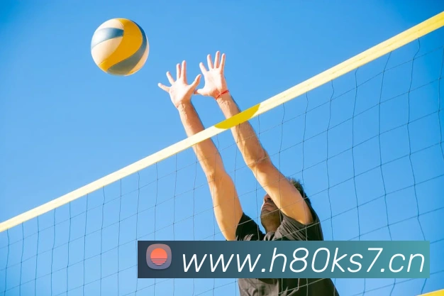 星空官网平台APP 封面图